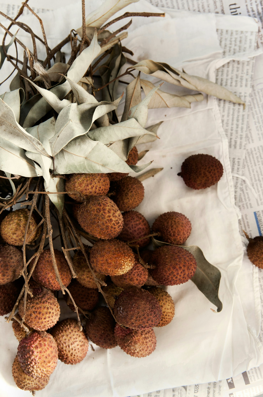 Coconut & Lychee 12 oz scented candle